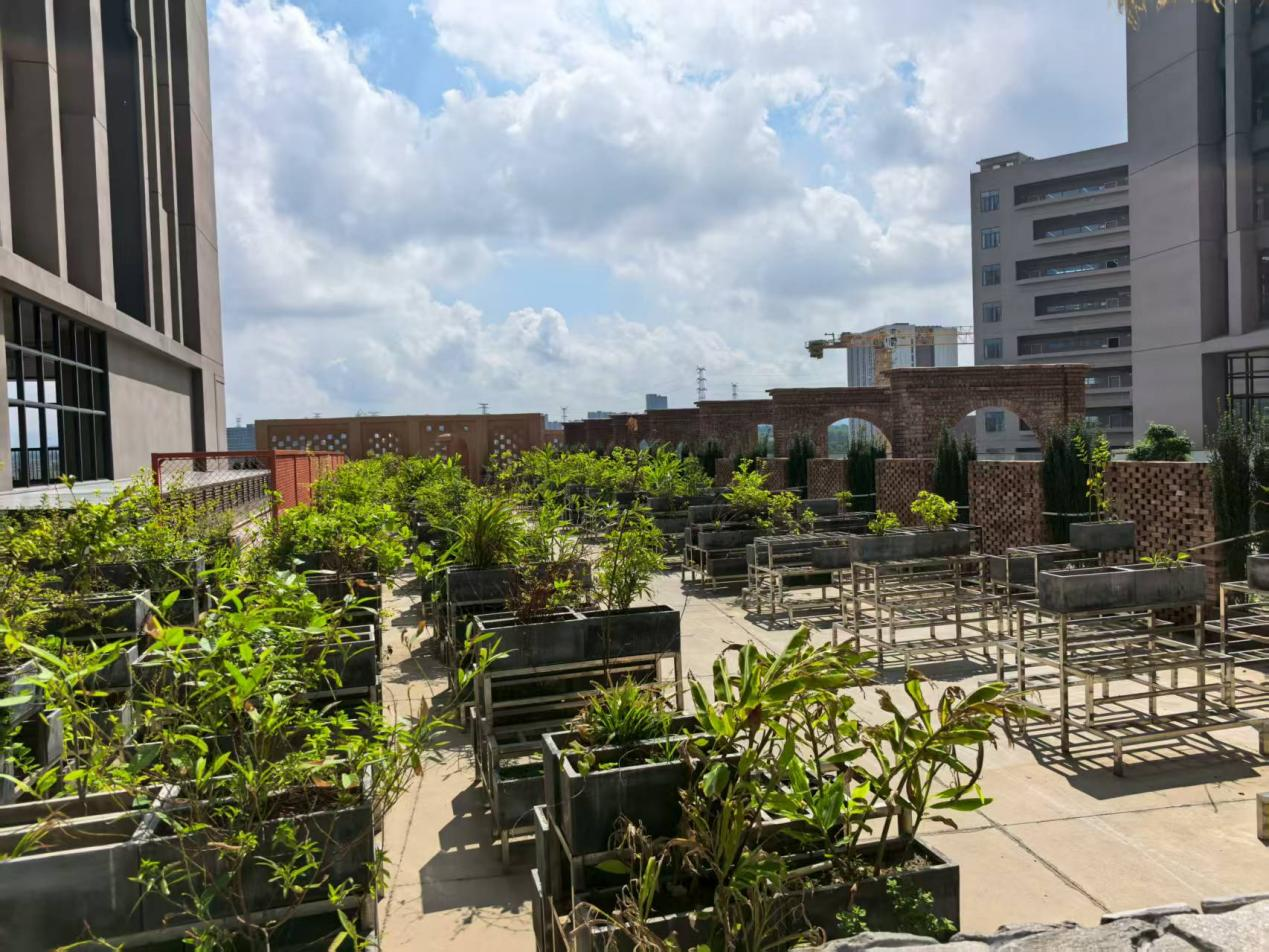 图片2.png 图片2.png