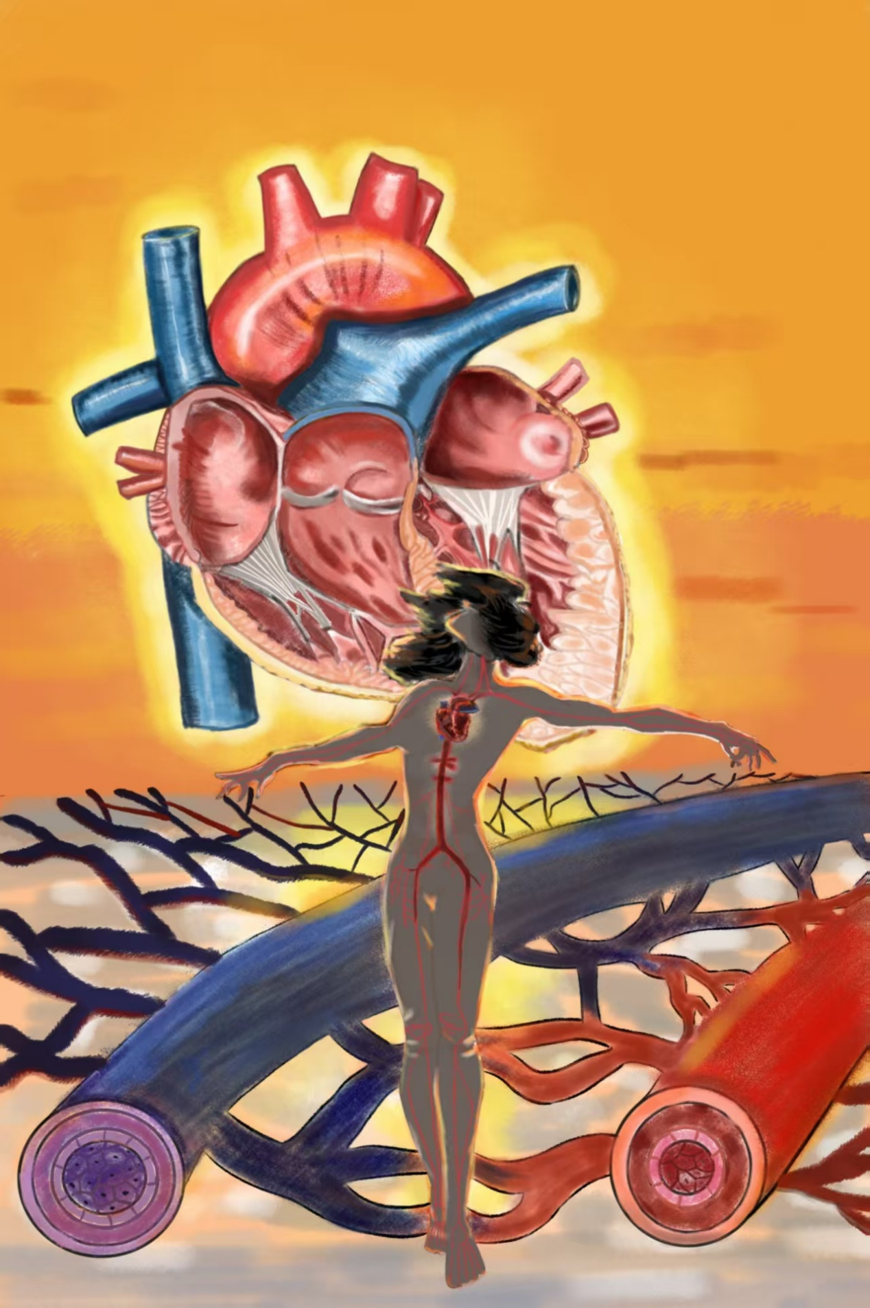 图片5.png 图片5.png