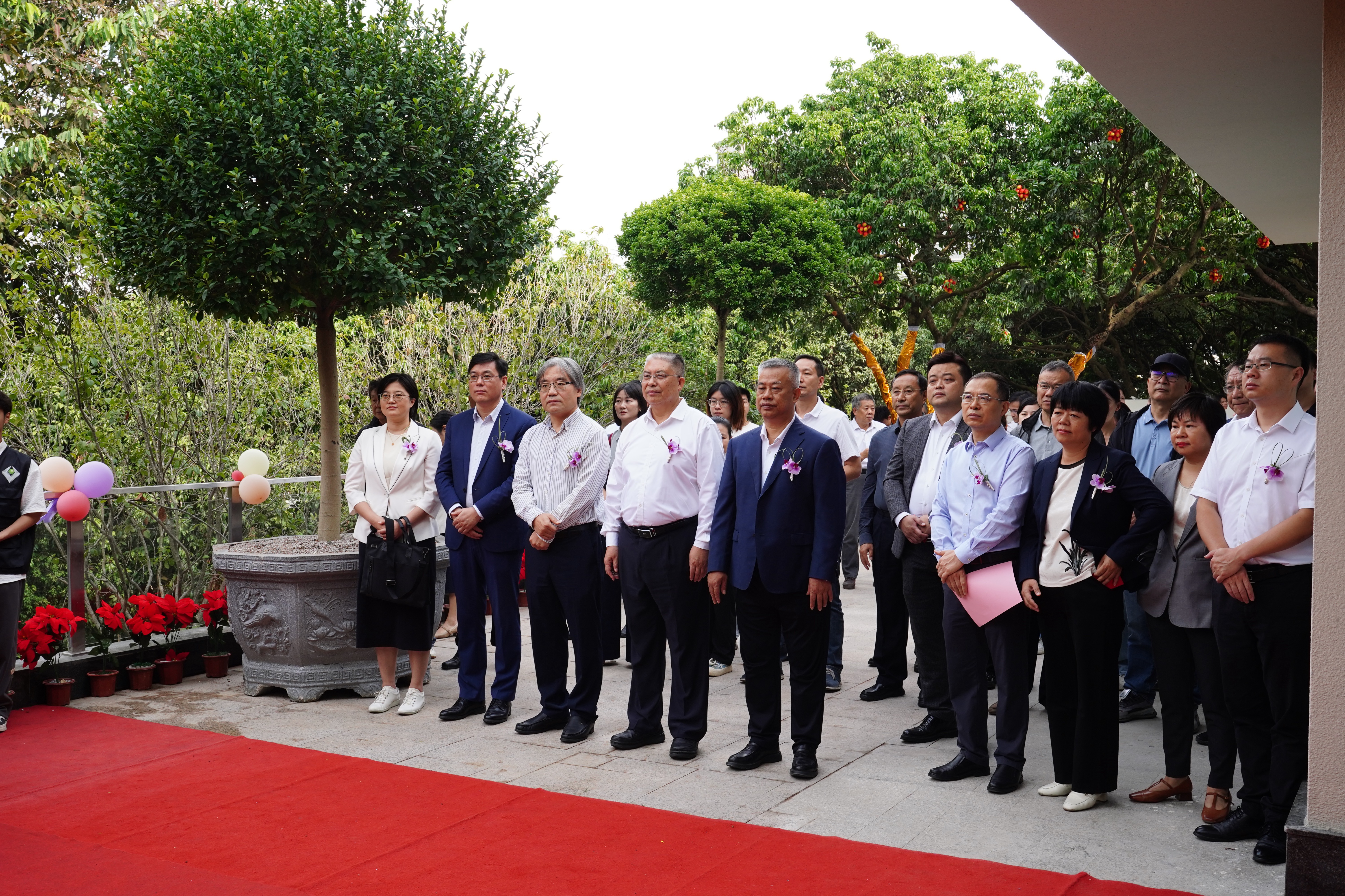 DSC00478 2.jpg DSC00478 2.jpg